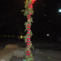 Lights and Garland on pole